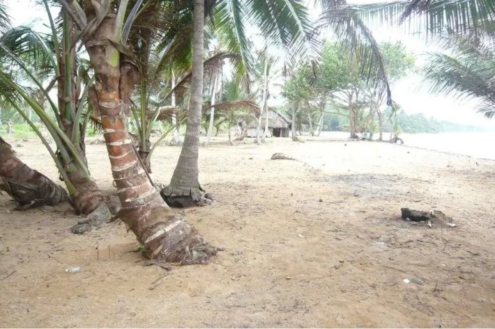 Se vende terreno en Santa Isabel, Colón
