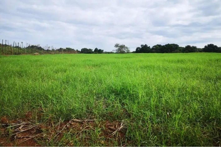 Se vende terreno en Aguadulce, Coclé