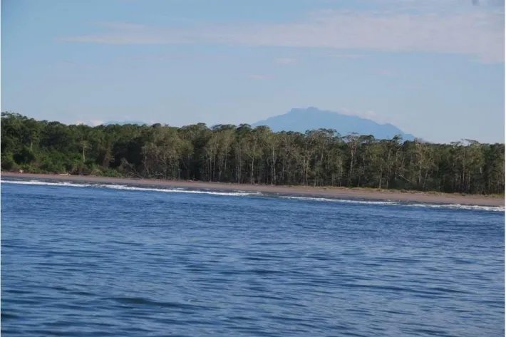 Se Vende Isla Chirote en el Golfo de Chiriqui