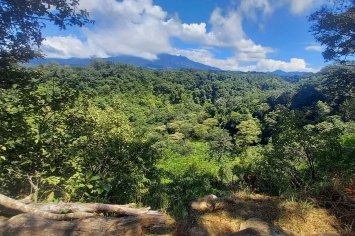 Se vende finca cafetera en Alto Boquete, Chiriquí