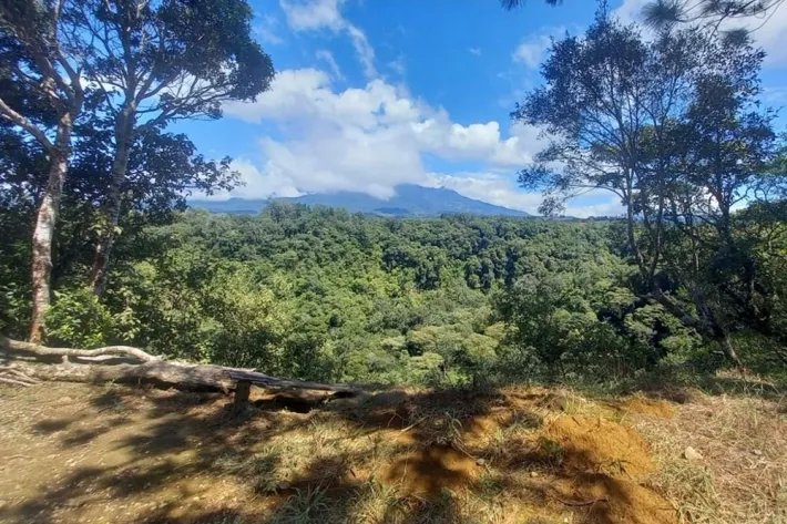 Se vende finca cafetera en Alto Boquete, Chiriquí