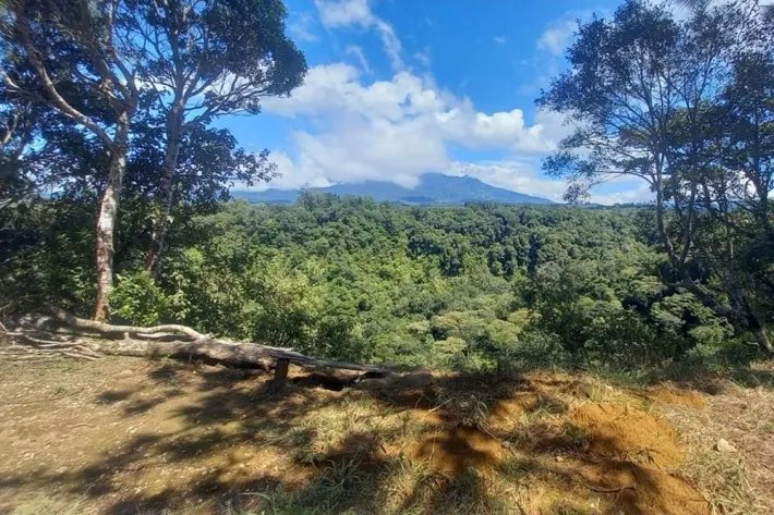 Se vende finca cafetera en Alto Boquete, Chiriquí