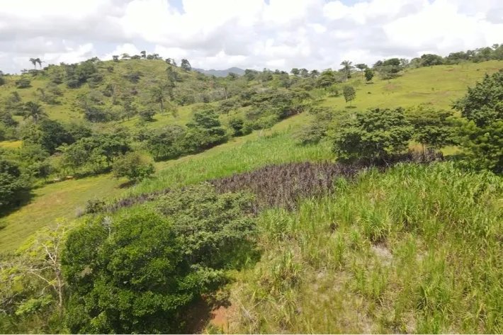 Se vende finca en La Chorrera, Panama Oeste