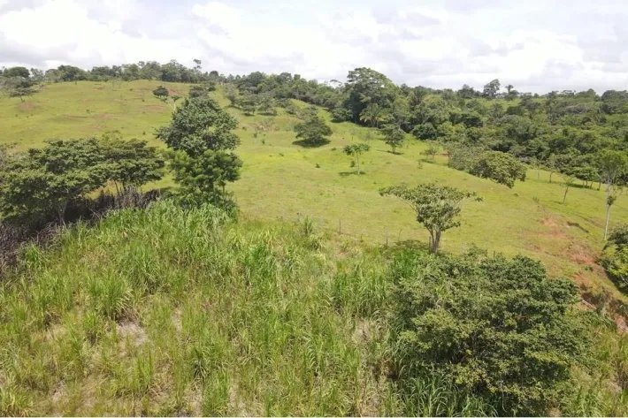 Se vende finca en La Chorrera, Panama Oeste