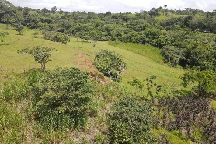 Se vende finca en La Chorrera, Panama Oeste