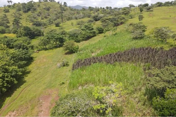 Se vende finca en La Chorrera, Panama Oeste