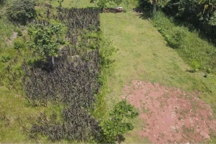 Se vende finca en La Chorrera, Panama Oeste