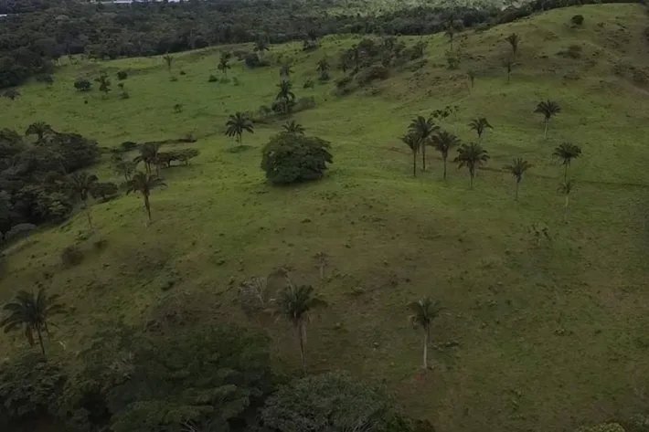 Se vende finca en La Chorrera, Panama Oeste