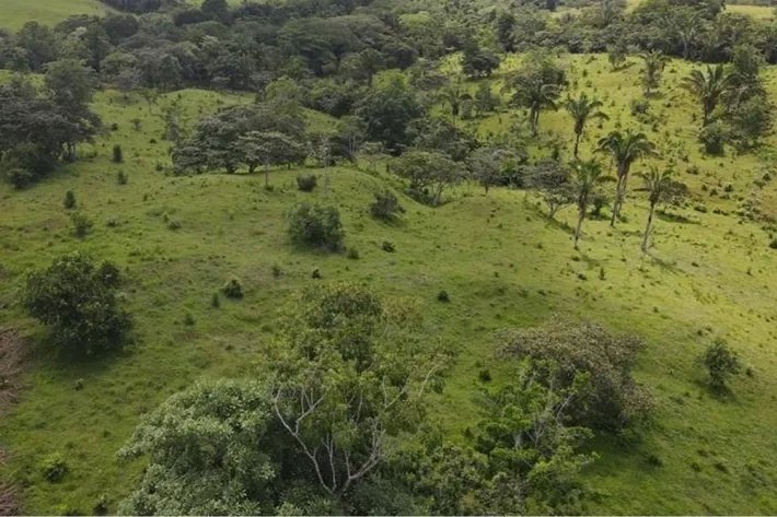 Se vende finca en La Chorrera, Panama Oeste