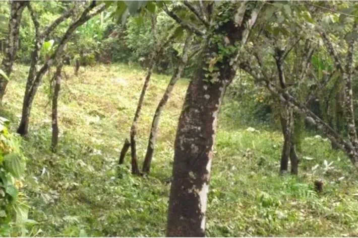 Se vende terreno en Chilibre, Panamá