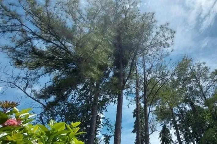 Venta de casa en Bejuco, Chame