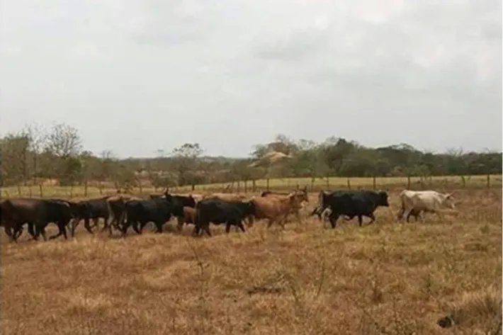 Venta de finca en Tanara, Chepo