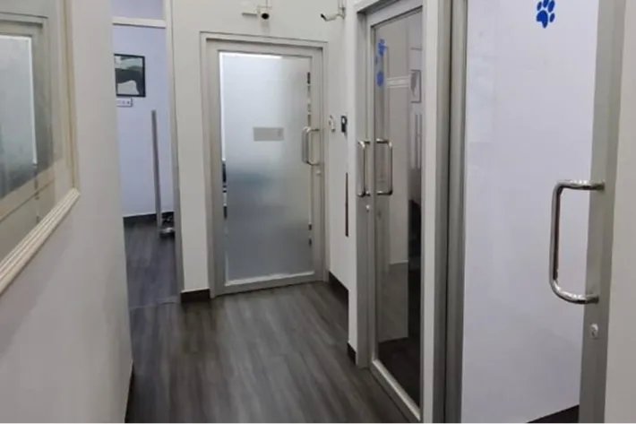 Se vende Negocio Veterinario en Panamá