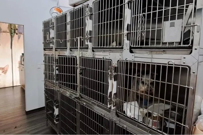 Se vende Negocio Veterinario en Panamá