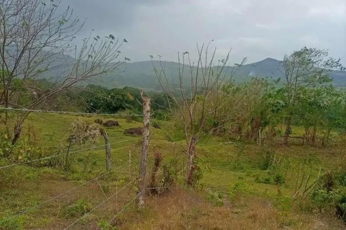 Venta de terreno en Capira, Panamá Oeste