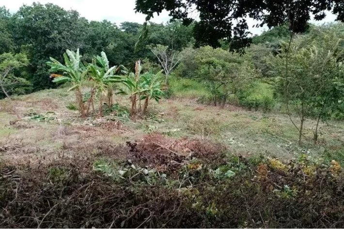 Finca en venta en La Florenciana, Chame