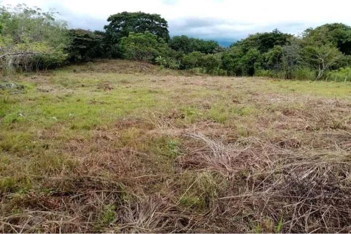 Finca en venta en La Florenciana, Chame
