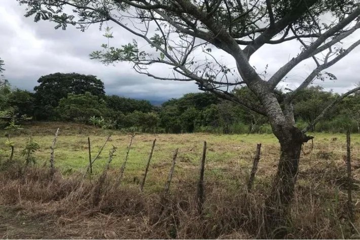 Finca en venta en La Florenciana, Chame