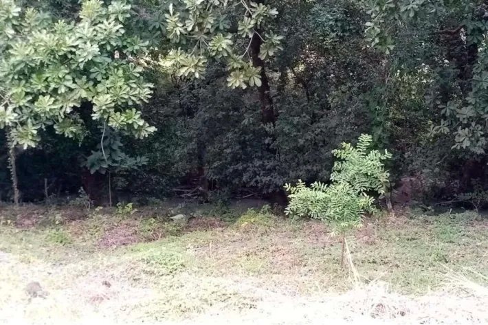 Finca en venta en La Florenciana, Chame