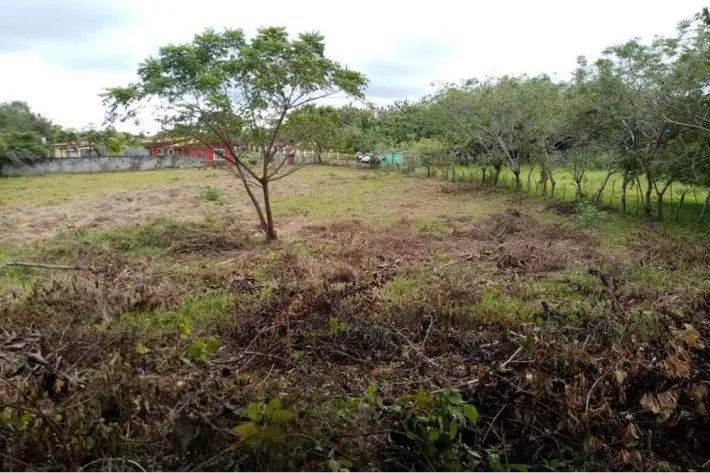 Finca en venta en La Florenciana, Chame