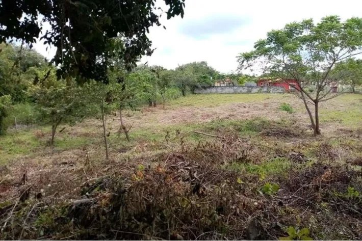 Finca en venta en La Florenciana, Chame