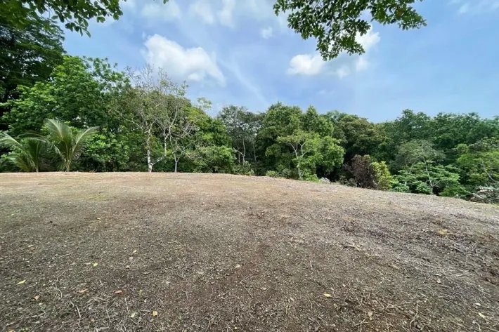 Se vende finca en Viento Frío, Santa Isabel