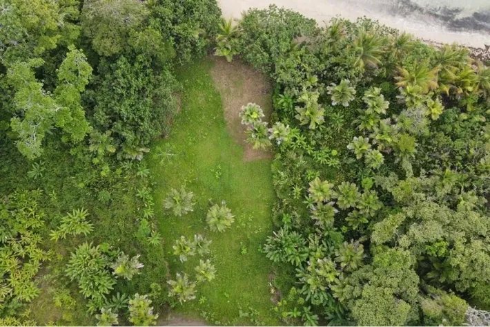 Beach front land for sale in Bocas del Toro Panama | 2299 m2 |amazing ocean view