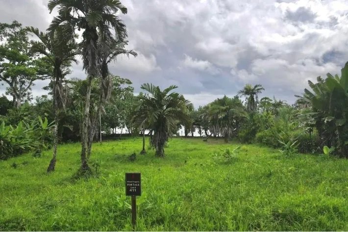 Beach front land for sale in Bocas del Toro Panama | 2299 m2 |amazing ocean view