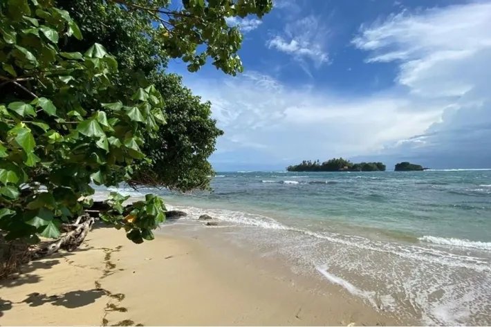 Beach front land for sale in Bocas del Toro Panama | 2299 m2 |amazing ocean view