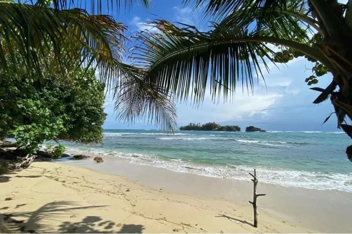 Beach front land for sale in Bocas del Toro Panama | 2299 m2 |amazing ocean view
