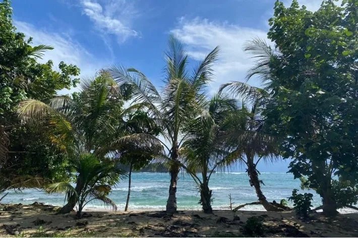 Beach front land for sale in Bocas del Toro Panama | 2299 m2 |amazing ocean view