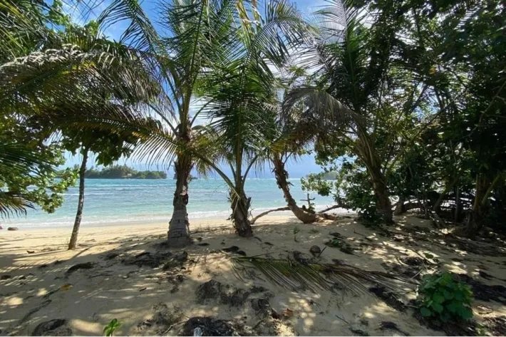 Beach front land for sale in Bocas del Toro Panama | 2299 m2 |amazing ocean view
