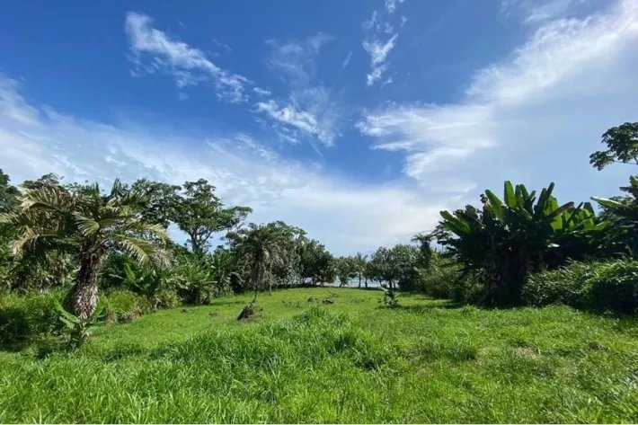 Beach front land for sale in Bocas del Toro Panama | 2299 m2 |amazing ocean view