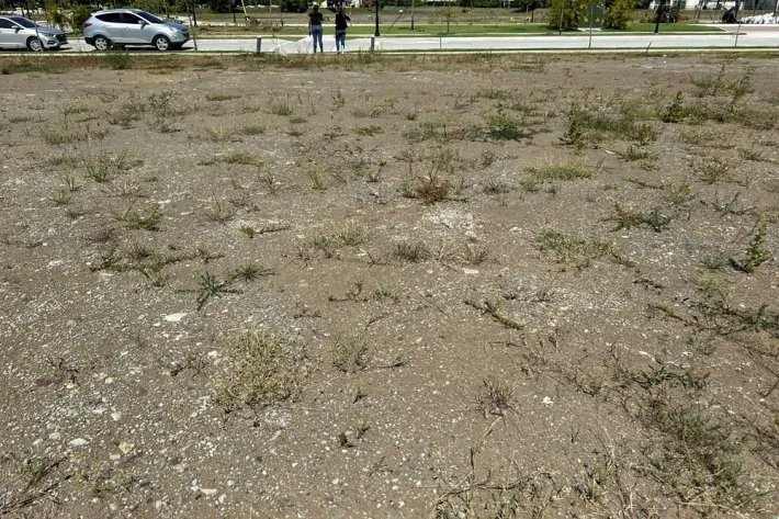 Lotes de terreno para venta en Península Estates Santa Maria Golf  Cou...