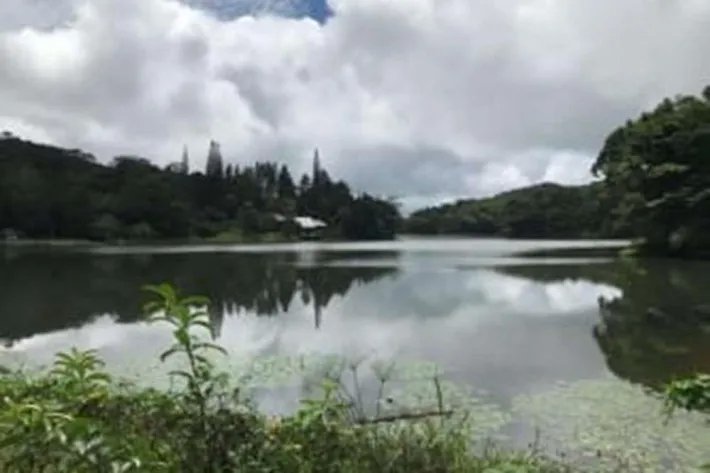 Se vende terreno en Cerro Azul