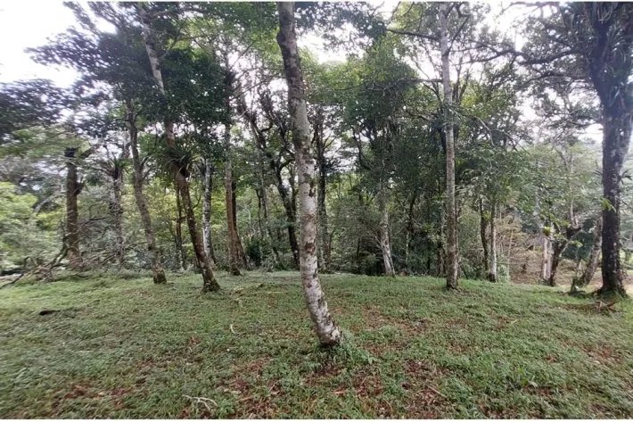 Se vende lote de terreno en Altos del María, Chame