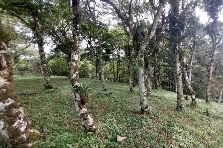 Se vende lote de terreno en Altos del María, Chame