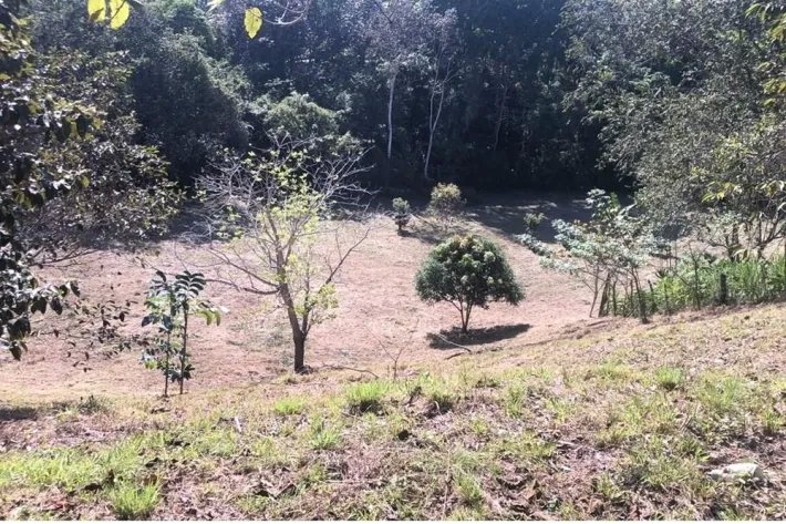 Se vende terreno en El Nazareno, La Chorrera