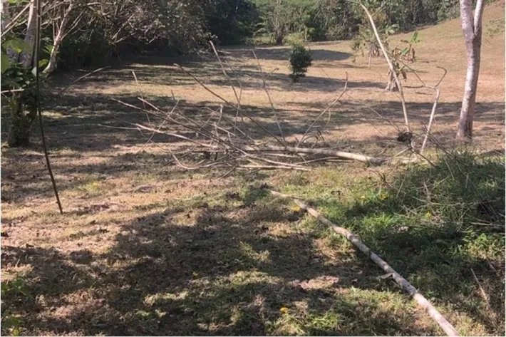 Se vende terreno en El Nazareno, La Chorrera