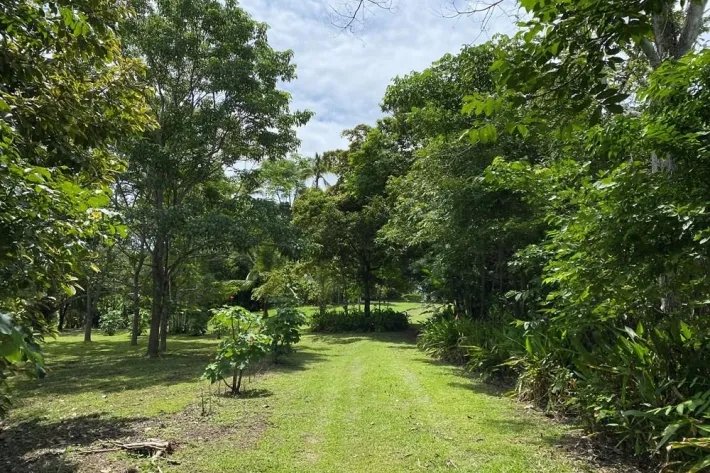 Se vende finca con cabañas en San Carlos