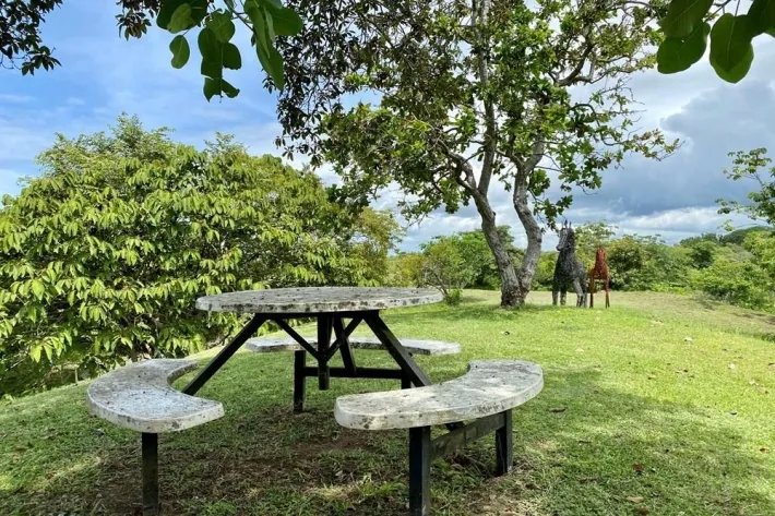 Se vende finca con cabañas en San Carlos