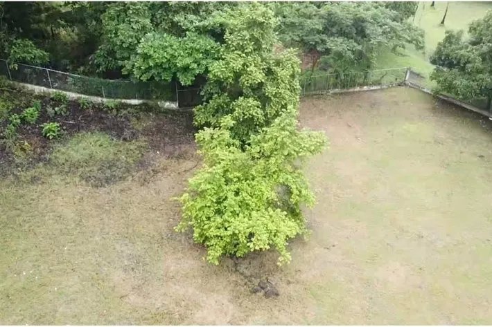 Venta de lote de terreno en El Espavé, Panamá Oeste