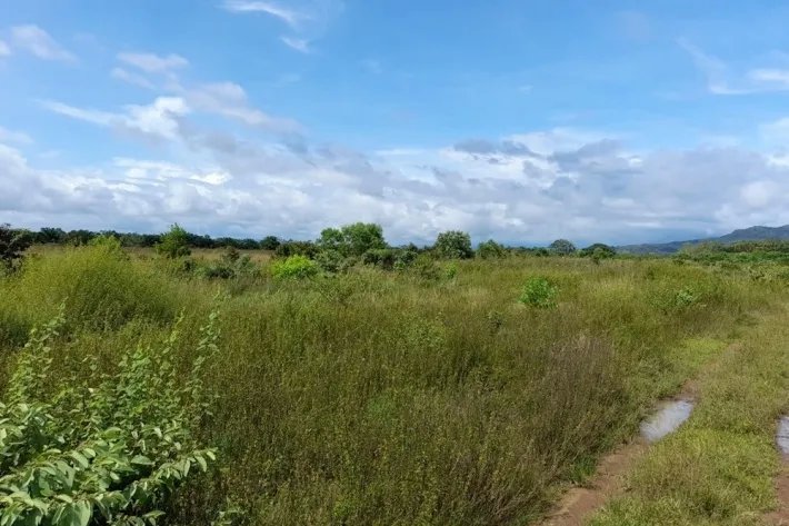Venta de finca reposeída en Chiriquí