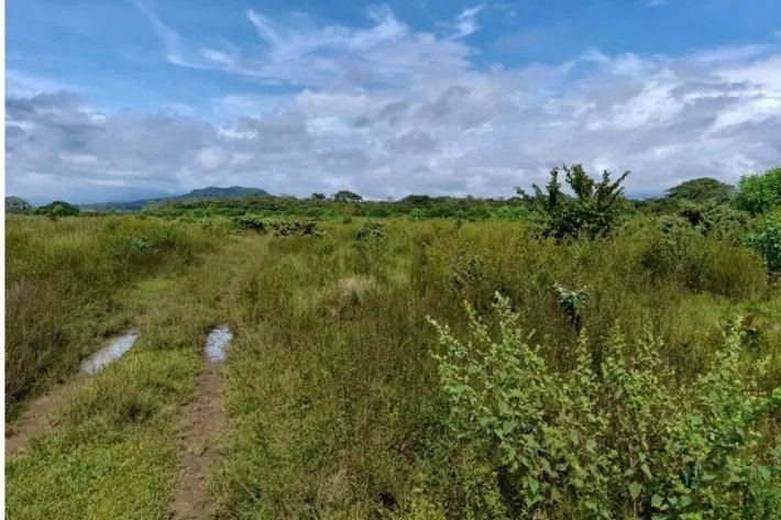 Venta de finca reposeída en Chiriquí
