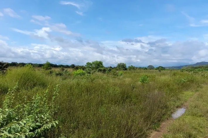 Venta de finca reposeída en San Lorenzo, Chiriquí