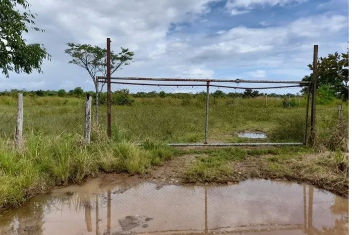 Venta de finca reposeída en San Lorenzo, Chiriquí