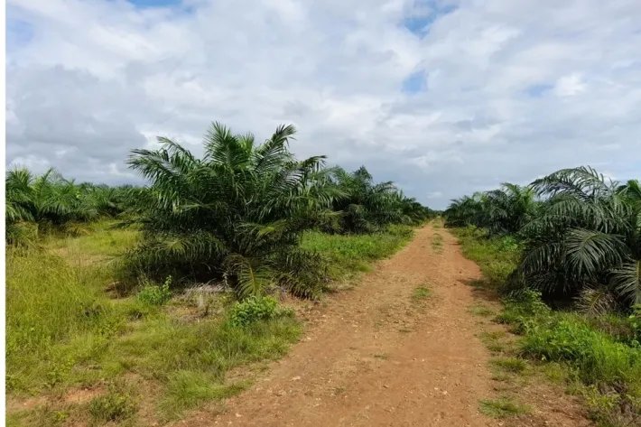 Venta de finca reposeída en San Lorenzo, Chiriquí