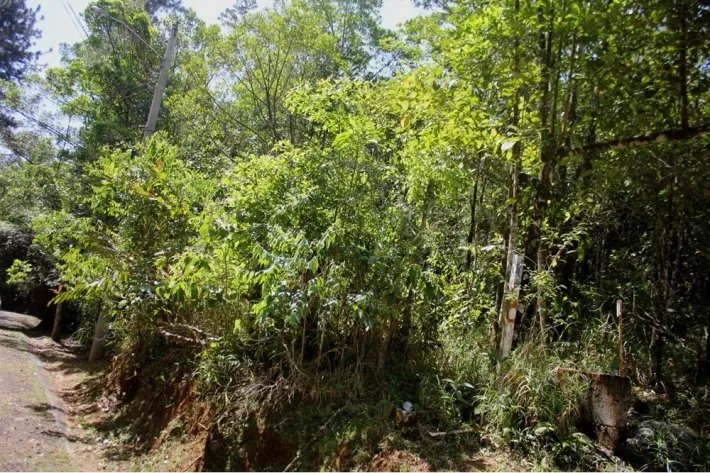 Venta de terreno en Altos de Cerro Azul, Panamá