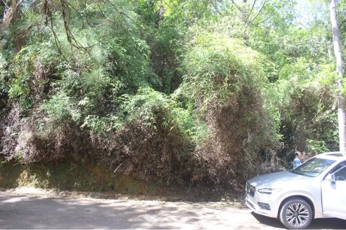 Venta de terreno en Altos de Cerro Azul, Panamá
