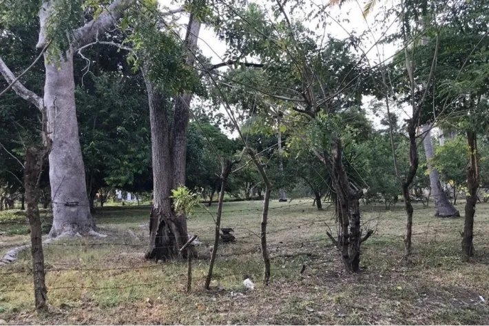 Se vende terreno plano, en Gorgona, Panamá Oeste